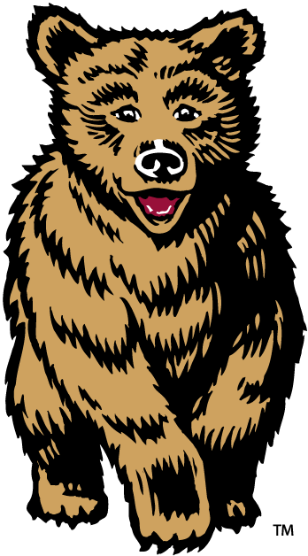 Montana Grizzlies 1996-2009 Mascot Logo iron on transfers for clothing
